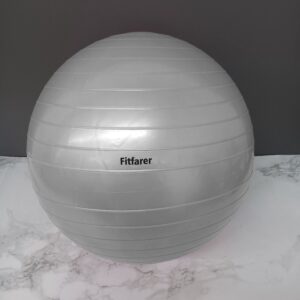 fitfarer fun play ball exercise ball