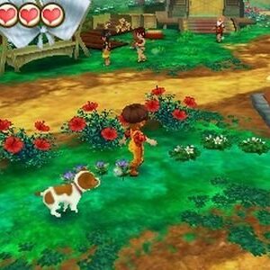 Story of Seasons: Trio of Towns - Nintendo 3DS (Renewed)