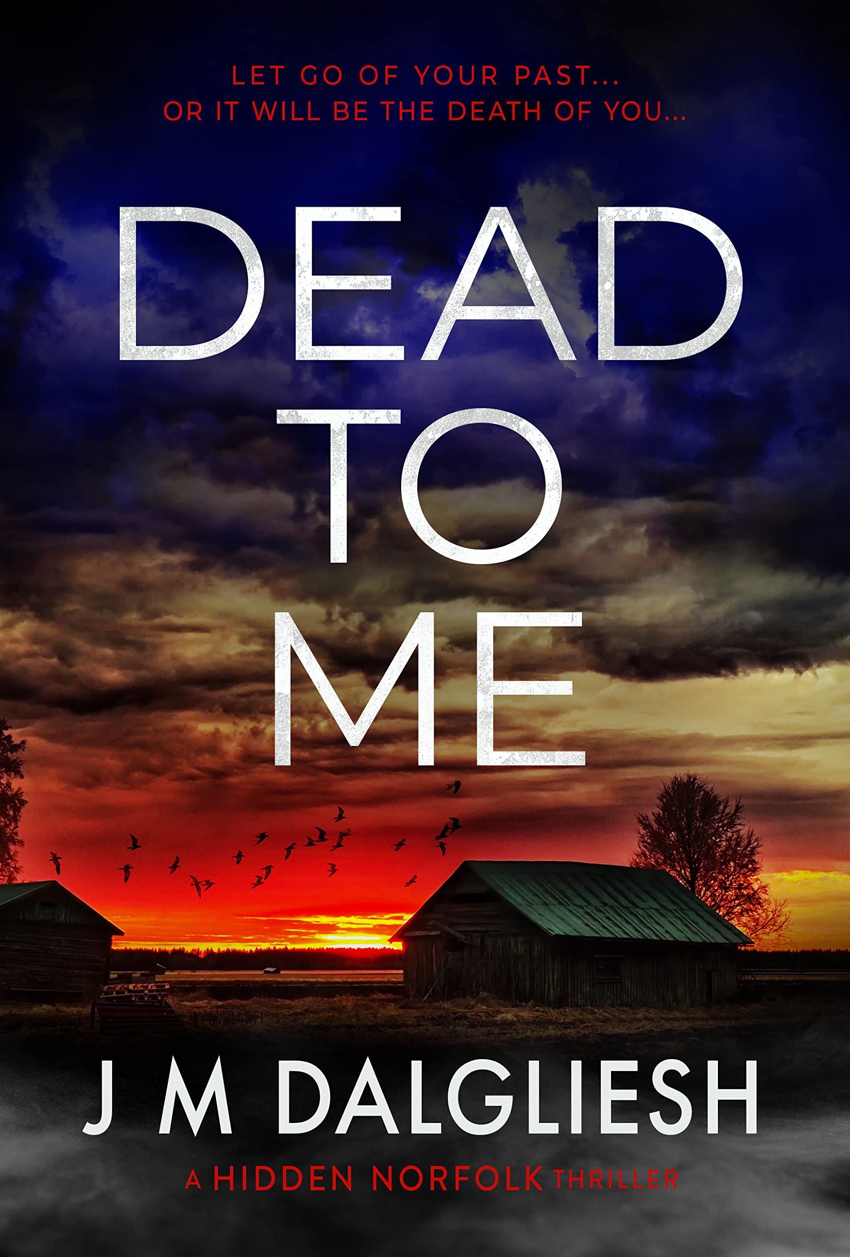 Dead To Me: A Hidden Norfolk Thriller (Book 13)