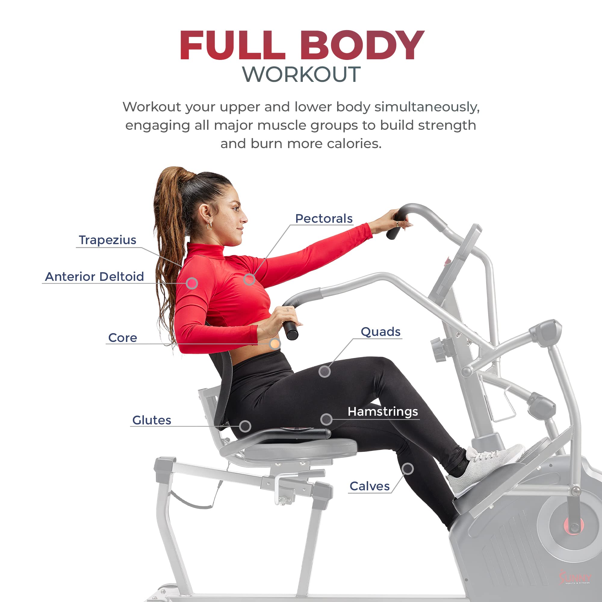 Sunny Health & Fitness Elite Recumbent Cross Trainer & Elliptical Machine with 12-Level Magnetic Resistance, Easy Adjust Seat & Exclusive SunnyFit® App Enhanced Bluetooth Connectivity - SF-RBE420049