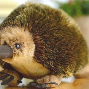 TAMMYFLYFLY Lifelike Echidna Plush Stuffed Animal Toy Echidna Animal Model (20CM)