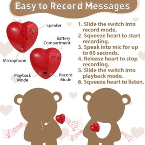 Hungdao Bear Stuffed Animal with Voice Recorder Set, 60 Seconds Voice Sound Recorder Module 16 Inch Soft Plush Bear Cute Stuffed Bear with Zipper Sound Box Recordable Heart for Boy Girl (Light Brown)