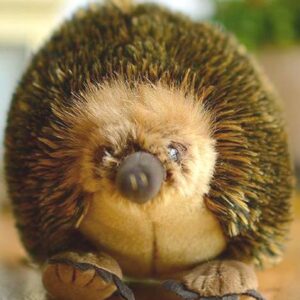 TAMMYFLYFLY Lifelike Echidna Plush Stuffed Animal Toy Echidna Animal Model (20CM)