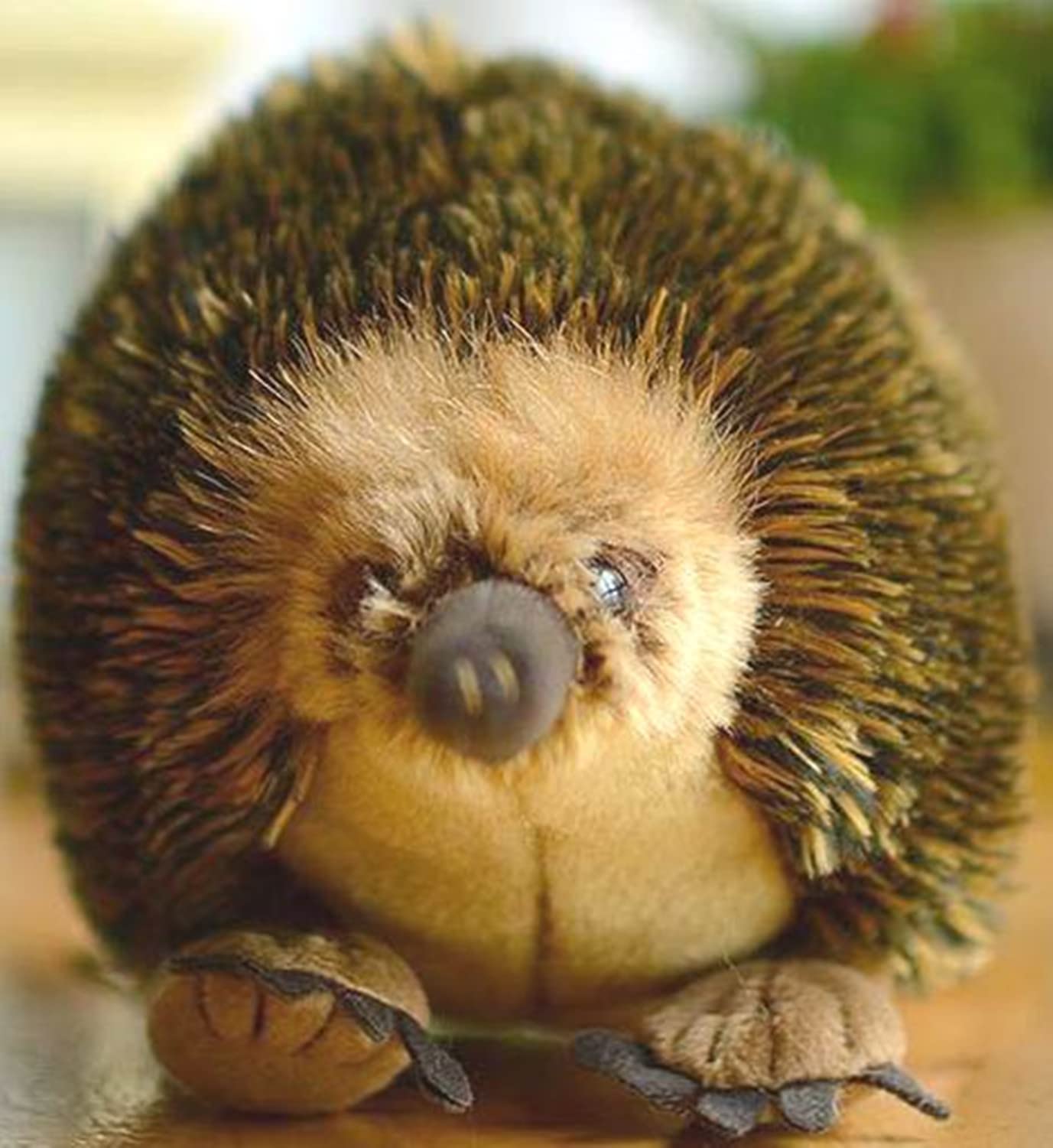 TAMMYFLYFLY Lifelike Echidna Plush Stuffed Animal Toy Echidna Animal Model (20CM)