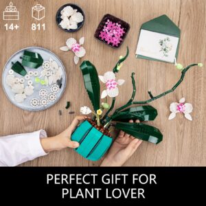 JOJO&Peach Orchid Bonsai Building Set, Botanical Collection, Artificial Flowers for The Home or Office, Gifts for Mother's Day, Anniversary, Birthday (811 Pieces)