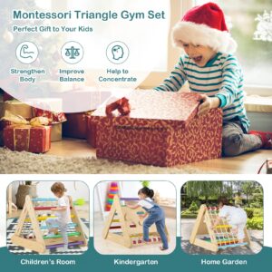 Costzon 4 in 1 Climbing Toy for Toddlers, 3-Sided Montessori Wooden Triangle Climber with Sliding Ramp, Climbing Net & Board, Kids Boys Girls Indoor Gym Playset Gift for Home, Daycare