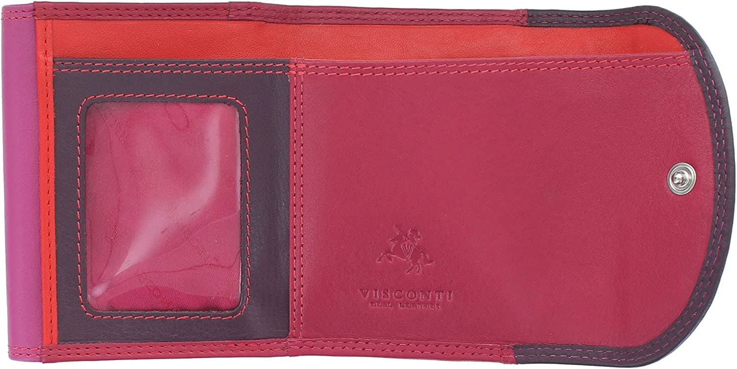 VISCONTI Rainbow Collection Small Leather Purse RFID and Tap and Go RB126 (Plum Multi)