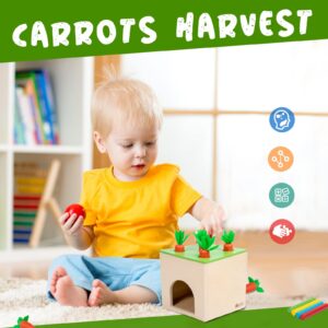 Adena Montessori 6 in 1 Play Kit Toy- 3 Nesting & Stacking Boxes, Object Permanence Drop Game, Coin Box, Carrot Harvest,Tissue Box,Sticks Matching Game for 6-12 Months 1 Year Old Toddlers 2 Year