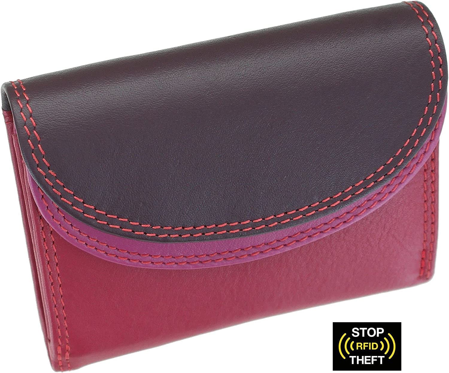 VISCONTI Rainbow Collection Small Leather Purse RFID and Tap and Go RB126 (Plum Multi)