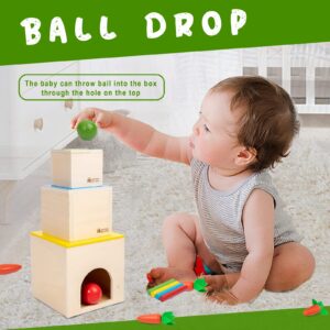 Adena Montessori 6 in 1 Play Kit Toy- 3 Nesting & Stacking Boxes, Object Permanence Drop Game, Coin Box, Carrot Harvest,Tissue Box,Sticks Matching Game for 6-12 Months 1 Year Old Toddlers 2 Year