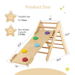 OLAKIDS Climbing Toys for Toddlers, 3 in 1 Kids Wooden Montessori Triangle Set Climber Toy with Ramp Ladder Slide for Gym Playground, Baby Indoor Climb Play Structure Activity Set for Boys Girls