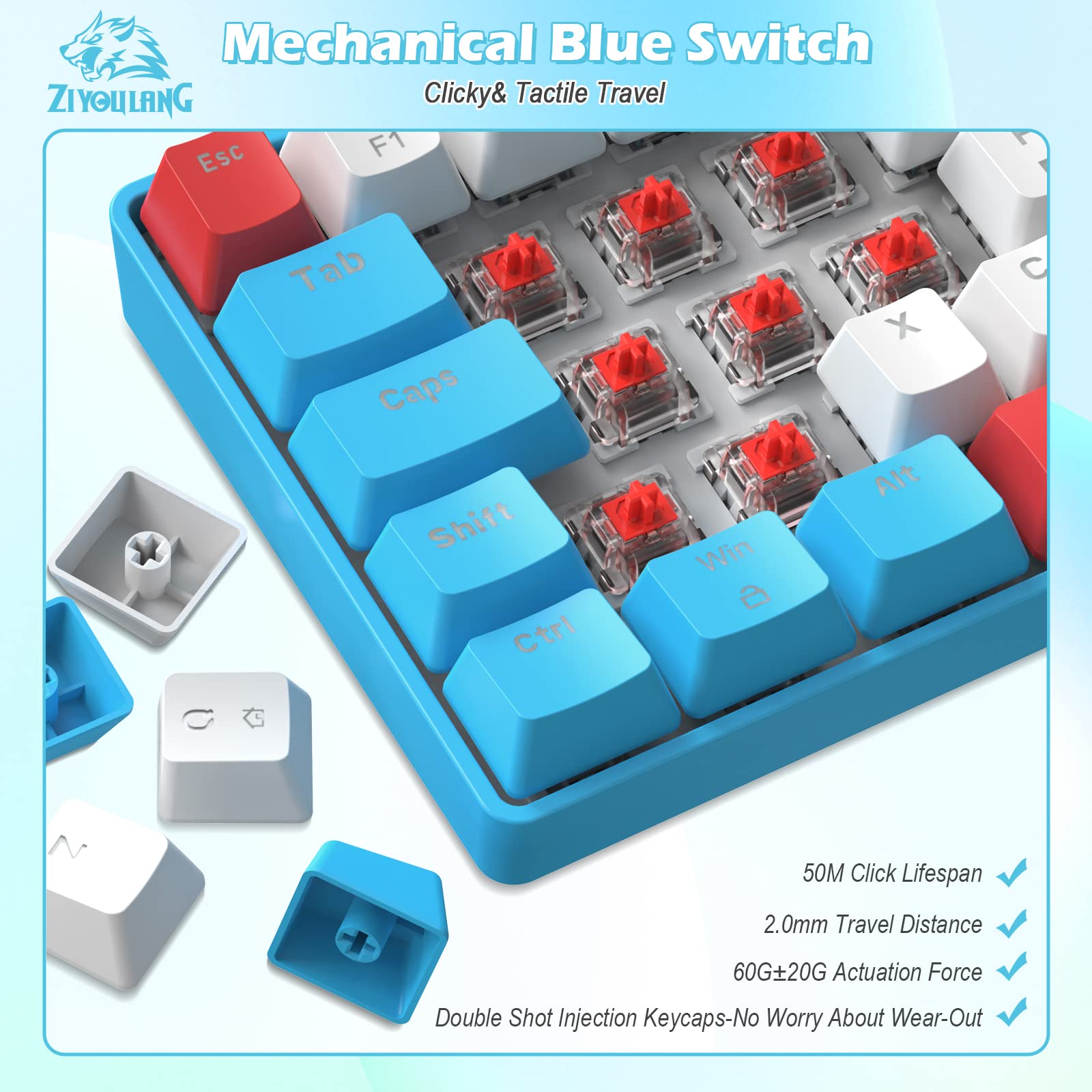 ZIYOU LANG RK-T60 Wired Mechanical Gaming Keyboard and Mouse Combo Mini Portable with Rainbow Backlit 62Key NKRO 6400DPI RGB Honeycomb Mice Coiled Aviator C Cable for PS4/PC/WIN Gamer(Blue/Red Switch)