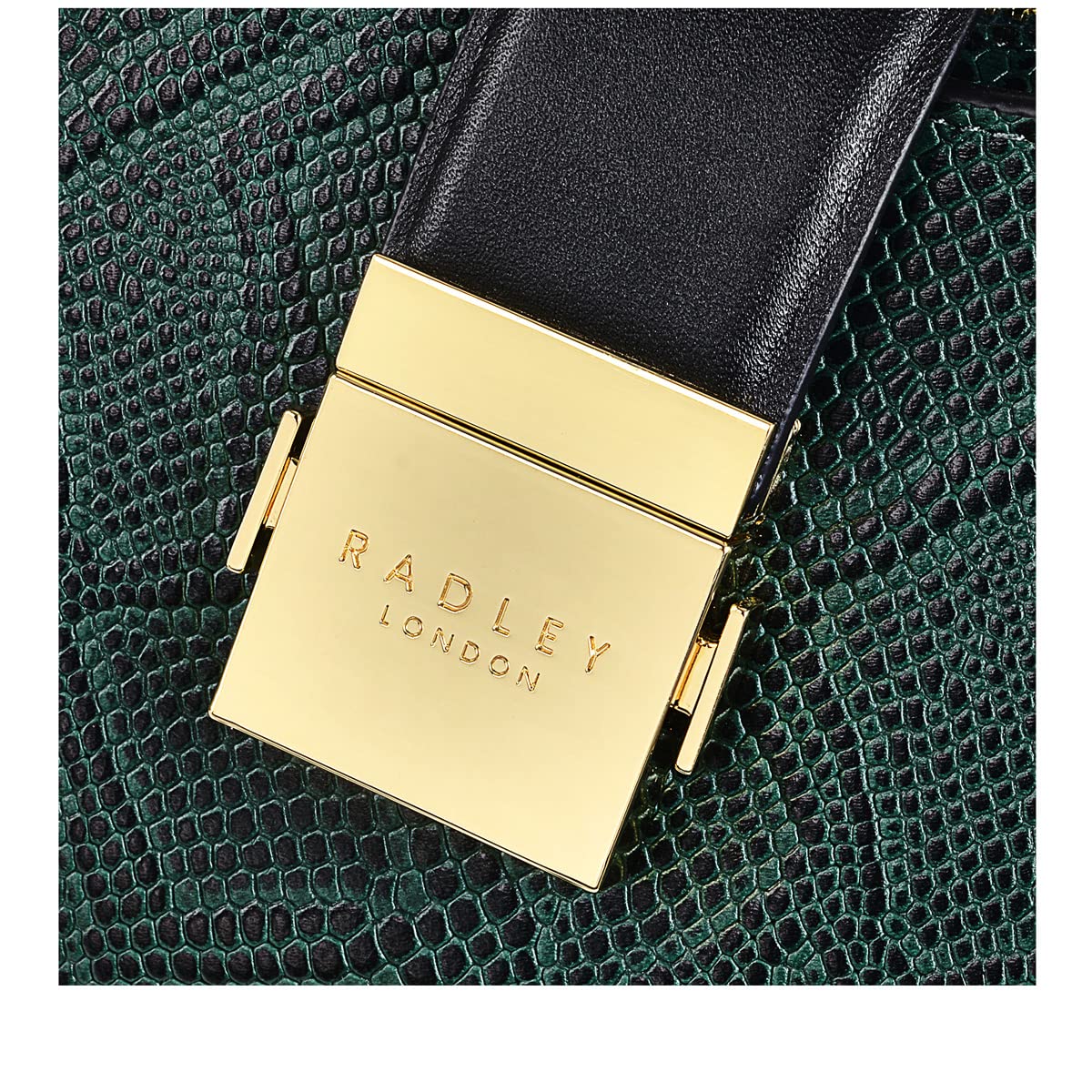 RADLEY London Winter Place - Faux Snake - Medium Ziptop Shoulder