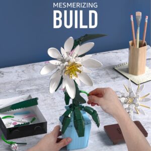 Nifeliz Epiphyllum Display Model, Flower Building Toy, Home Decor for Adult Plant Lovers and Gift Giver (678 Pieces)