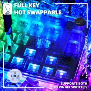 65% Hot-Swap Wired Mechanical Gaming Keyboard Programmable with Transparent 66 Key Full Side RGB OWERTY Linear Ice White Switch Custom Coiled C to A Cable Media Knob 2-IN-1 Case for WIN/PC/MAC(White)