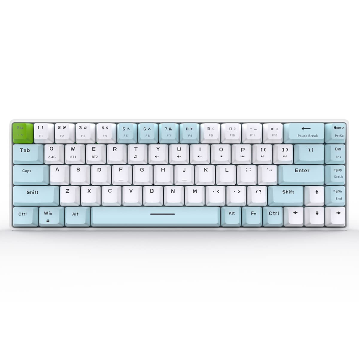 Merdia Dual Mode 2.4G/BT Wireless Mechanical Keyboard Red Switch Gaming Keyboard 68 Keys White & Blue | Office Keyboard | PC Gaming Keyboards | Bluetooth Keyboard | Mechanical Gaming Keyboard