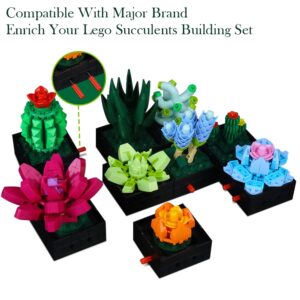 Bourvill Succulent Bonsai Building Kit, Create Your Own Botanical Oasis, DIY Home Decoration Succulent Flower Botanical Building Set, Gifts for Adults