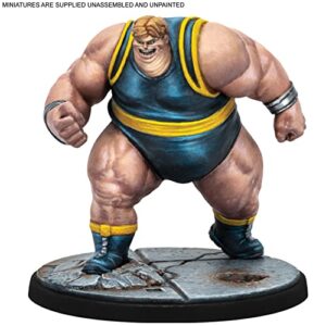 Atomic Mass Games Marvel: Crisis Protocol The Blob and Pyro Character Pack - New Mutant Additions! Tabletop Superhero Game, Ages 14+, 2 Players, 90 Minute Playtime, Made