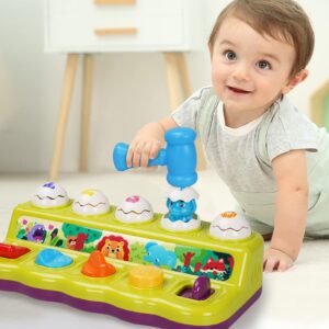 FS Toddler Pop Up Toy with Music and Light, Cause and Effect Toys for 6 9 12 18 Month Old Baby Toys, Early Learning Educational Toys for 1 2 3 Year Old Boy and Girls Gifts