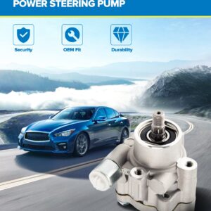 PHILTOP 21-5419 Power Steering Pump OE Fit For TSX 2006-2008, RSX 2002-2006, Element 2006-2011, CR-V 2002-2002, Accord 2006-2007 2.4L, CR-V 2005-2011, Power Assist Pump 56110PNBA01, 56110PNBA03