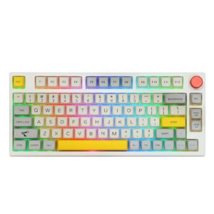 EPOMAKER TH80 Pro 75% Hot Swap RGB 2.4Ghz/Bluetooth 5.0/Wired Gaming Keyboard, with 4000mah Battery, PBT Keycaps, Knob Control for Windows/Mac PS5 PS4 Xbox