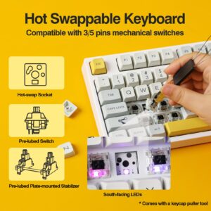 EPOMAKER TH80 Pro 75% Hot Swap RGB 2.4Ghz/Bluetooth 5.0/Wired Gaming Keyboard, with 4000mah Battery, PBT Keycaps, Knob Control for Windows/Mac PS5 PS4 Xbox