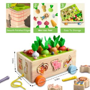 Achiyway Montessori Toys for Baby Boys Girls Age 2 3 4 5 Year Old, Wood Preschool Learning Fine Motor Skills Game, Baby Educational Toddler Toys (Animals car Toy)