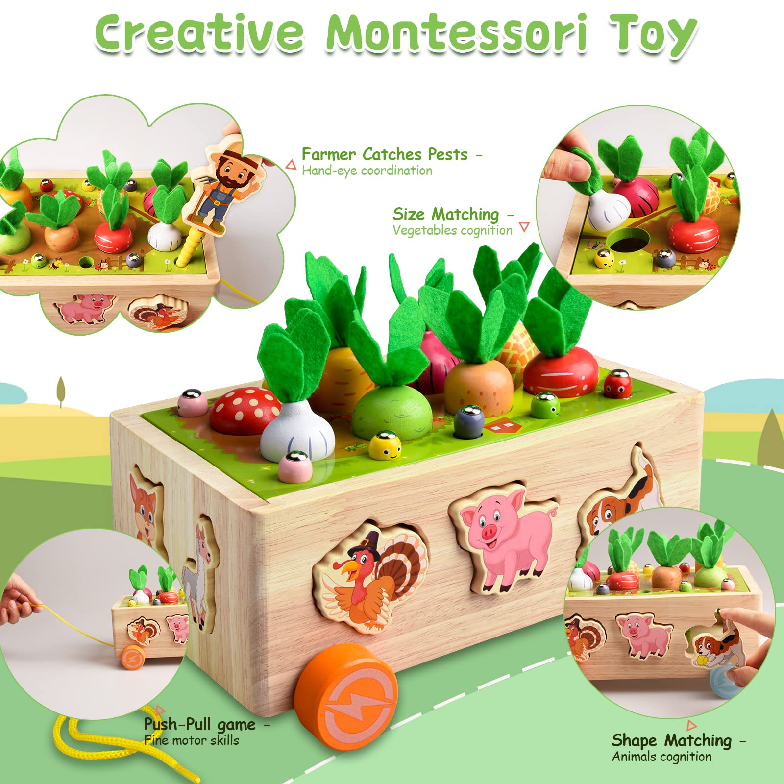 Achiyway Montessori Toys for Baby Boys Girls Age 2 3 4 5 Year Old, Wood Preschool Learning Fine Motor Skills Game, Baby Educational Toddler Toys (Animals car Toy)