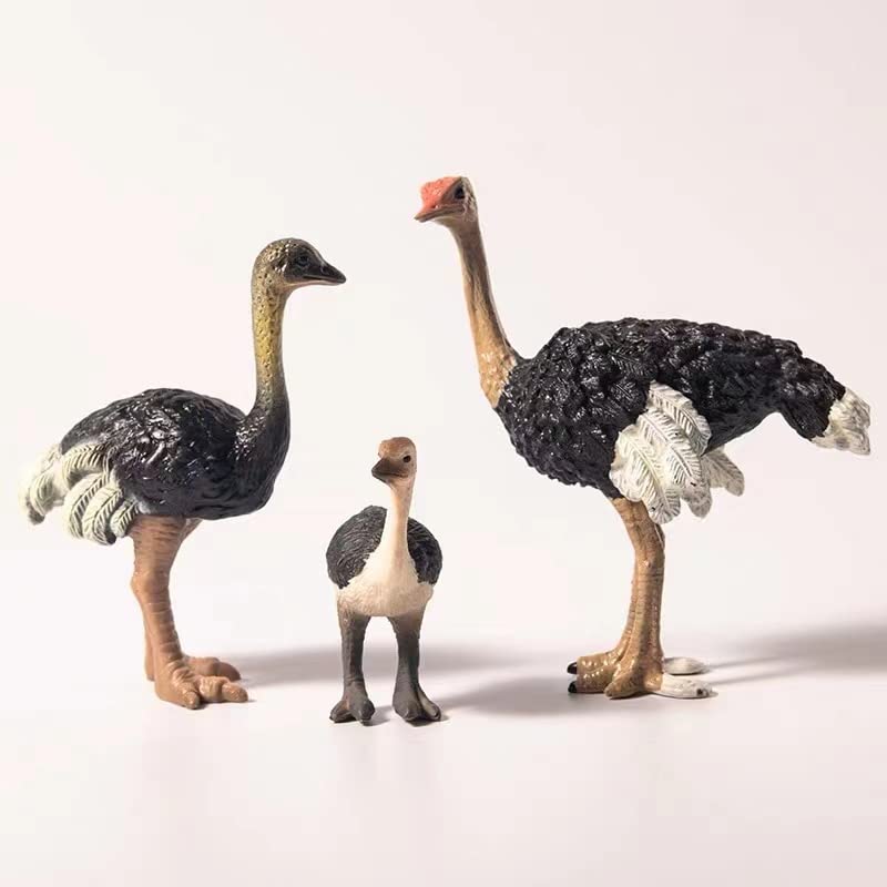 Gemini&Genius Ostrich Animal Action Figure Toys, Ostrich Animal Figurines Jungle Animal Playset Gift, Educational, Cake Toppers, Party Supplies, Animal Toy Set for Kids Ages 3+