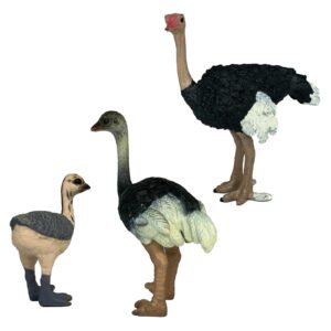 Gemini&Genius Ostrich Animal Action Figure Toys, Ostrich Animal Figurines Jungle Animal Playset Gift, Educational, Cake Toppers, Party Supplies, Animal Toy Set for Kids Ages 3+