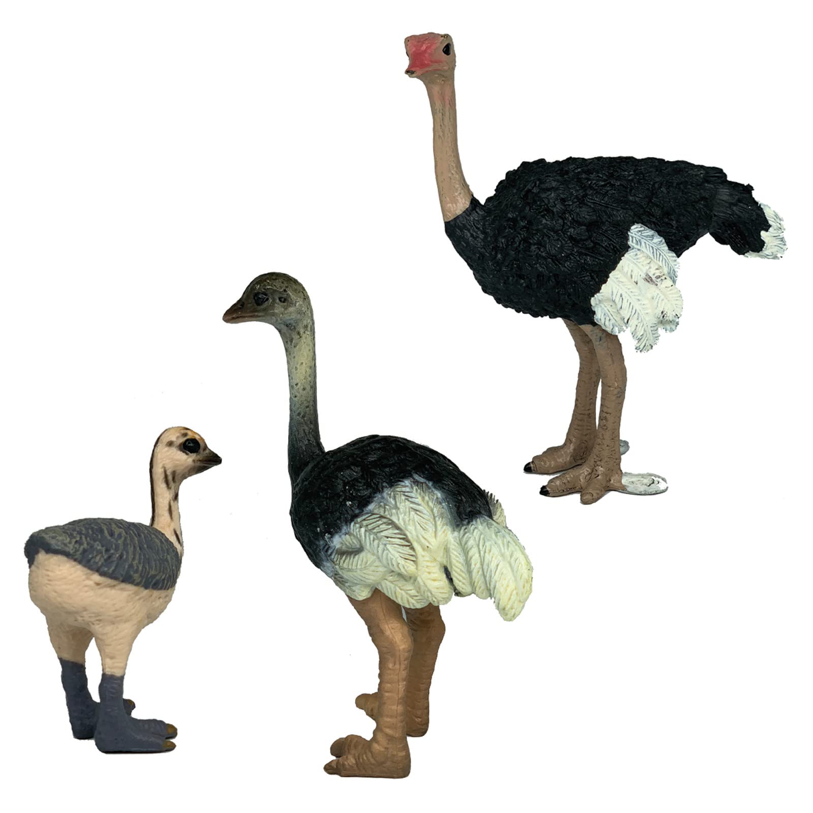 Gemini&Genius Ostrich Animal Action Figure Toys, Ostrich Animal Figurines Jungle Animal Playset Gift, Educational, Cake Toppers, Party Supplies, Animal Toy Set for Kids Ages 3+