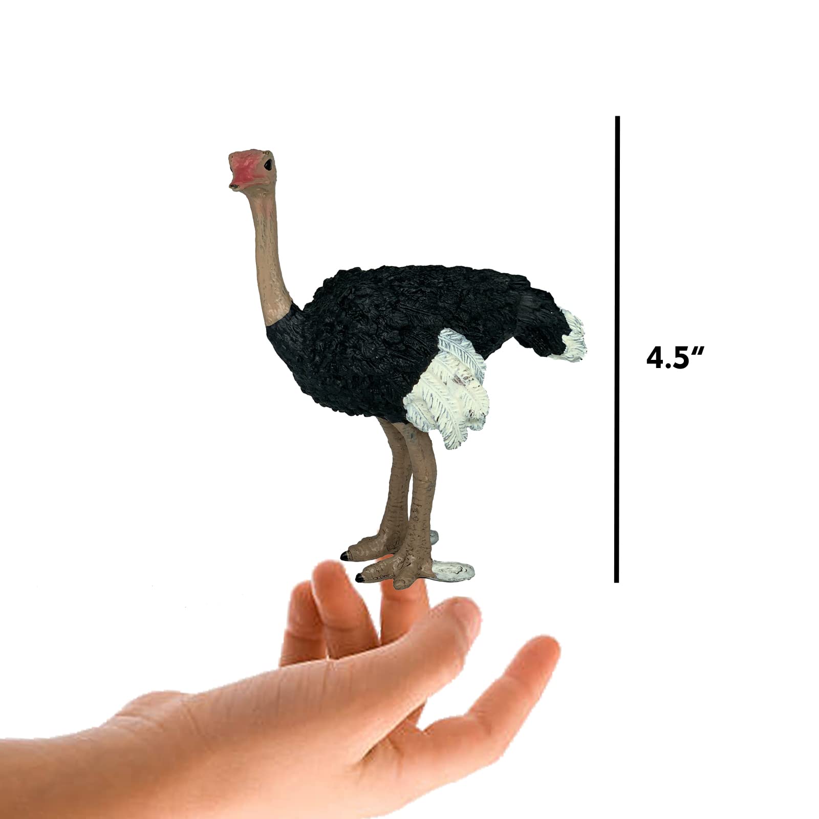 Gemini&Genius Ostrich Animal Action Figure Toys, Ostrich Animal Figurines Jungle Animal Playset Gift, Educational, Cake Toppers, Party Supplies, Animal Toy Set for Kids Ages 3+