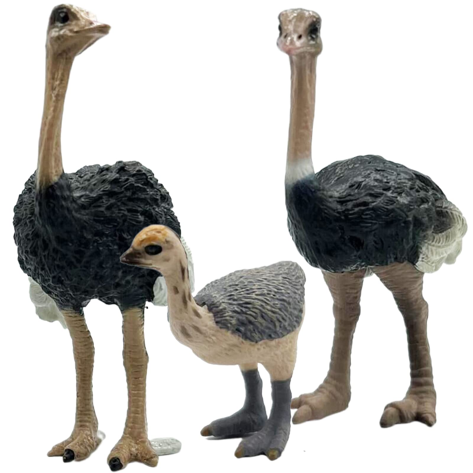 Gemini&Genius Ostrich Animal Action Figure Toys, Ostrich Animal Figurines Jungle Animal Playset Gift, Educational, Cake Toppers, Party Supplies, Animal Toy Set for Kids Ages 3+