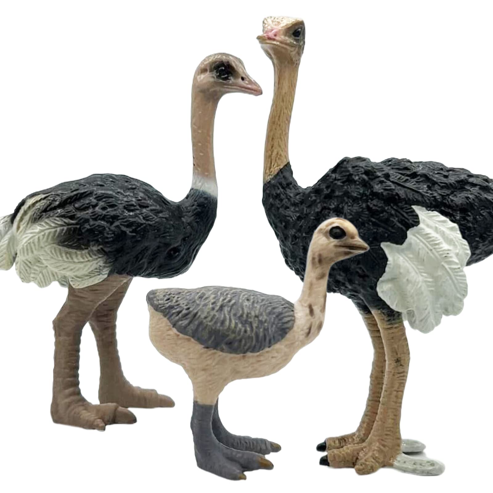 Gemini&Genius Ostrich Animal Action Figure Toys, Ostrich Animal Figurines Jungle Animal Playset Gift, Educational, Cake Toppers, Party Supplies, Animal Toy Set for Kids Ages 3+