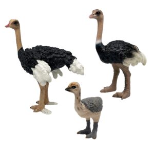 Gemini&Genius Ostrich Animal Action Figure Toys, Ostrich Animal Figurines Jungle Animal Playset Gift, Educational, Cake Toppers, Party Supplies, Animal Toy Set for Kids Ages 3+