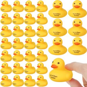 Leitee Ducks for Ducking You've Been Ducked Rubber Ducks Mini Ducks Bulk Yellow Duck Rubber Duckies Yellow Ducky for Bath Toys Birthday Game Pool Party Favors(48 Pcs, Text)