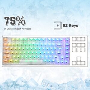 ATTACK SHARK X75 PRO PC Transparent Wireless Hot Swappable Mechanical Keyboard with 2.4G/Bluetooth/Wired Coiled Cable,Acrylic Wirst Rest,Gasket Mounted,for Windows/Mac(Kailh MX Switches)