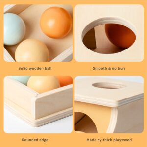 Busy edition Montessori Toys for Babies 6-12 Months Object Permanence Box Wooden Ball Drop Toy Play for 6 Month 1 2 3 Year Old Toddlers Infant Early Age Toy