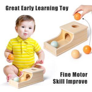 Busy edition Montessori Toys for Babies 6-12 Months Object Permanence Box Wooden Ball Drop Toy Play for 6 Month 1 2 3 Year Old Toddlers Infant Early Age Toy