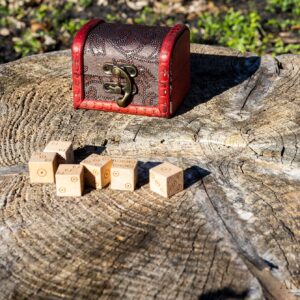 Ancient Toys Viking Dice from A Fast-paced Bluffing Game Similar to Liar’s Dice, Mia, Dudo and Perudo. Great Party Game That is Fun and Easy to Learn!…