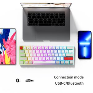 Newmen GM610 60% Mechanical Keyboard,Type-C/Bluetooth Keyboard with RGB Backlit, Hot-Swappable 61 Keys Compact Mechanical Keyboard for Mac/PC Gamer, Travel, Easy to Carry on Business Trip（Blue）