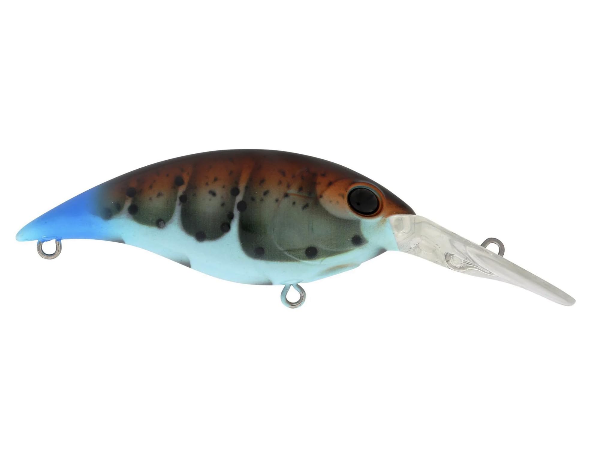 Berkley Money Badger Fishing Lure, Spring Craw, 1/3 oz, 2.5in | 6.25cm, Hybrid Baitfish-Crayfish Design, Patented FlashDisc Technology, Equipped with Sharp Fusion19 Hooks