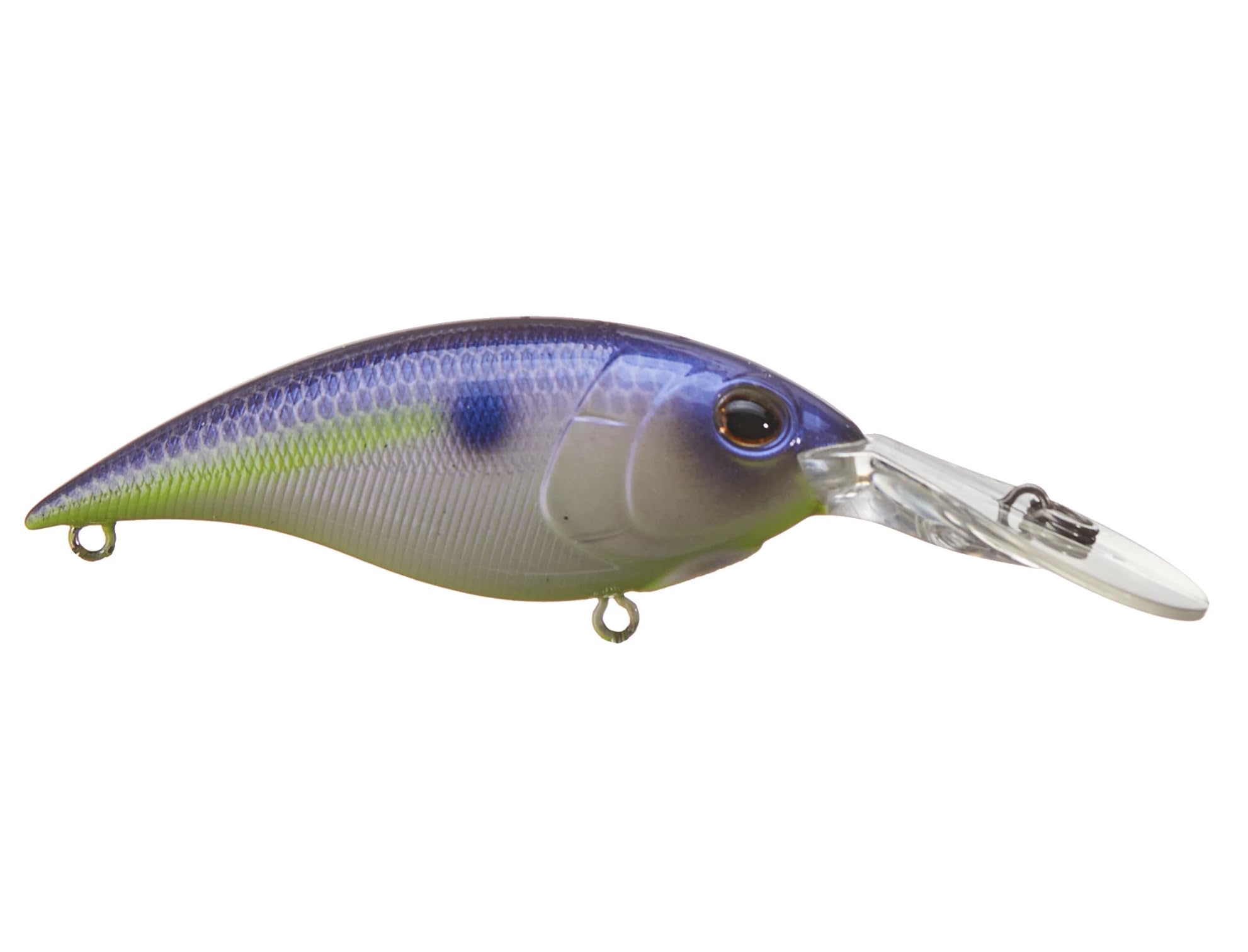 Berkley Money Badger Fishing Lure, Spring Craw, 1/3 oz, 2.5in | 6.25cm, Hybrid Baitfish-Crayfish Design, Patented FlashDisc Technology, Equipped with Sharp Fusion19 Hooks