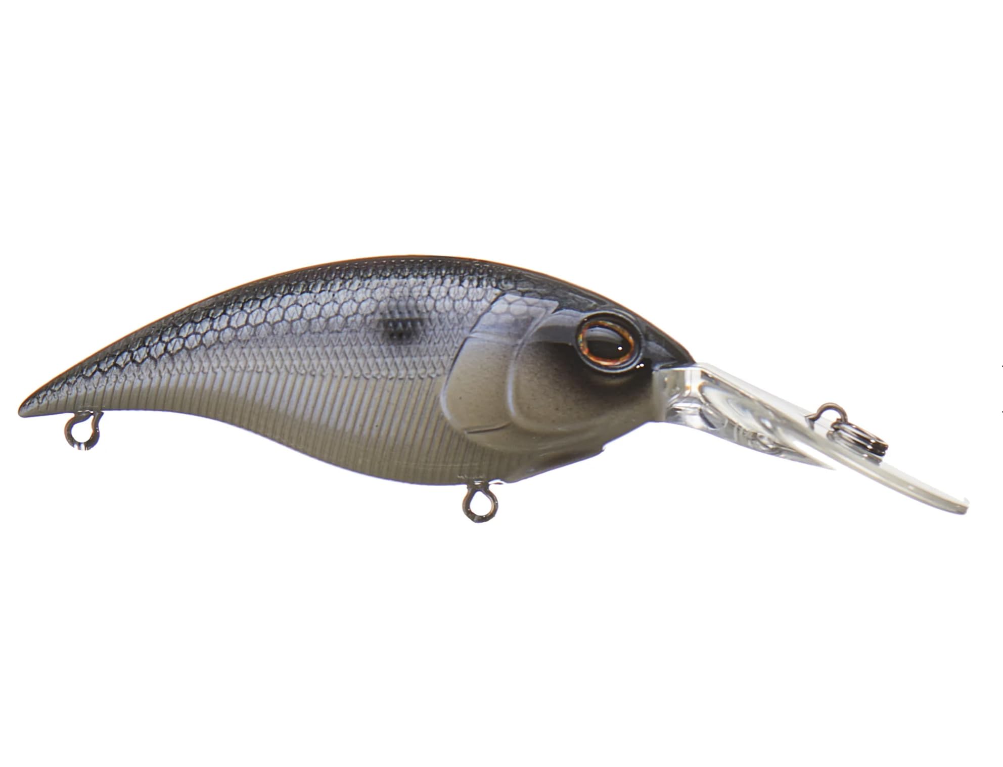 Berkley Money Badger Fishing Lure, Spring Craw, 1/3 oz, 2.5in | 6.25cm, Hybrid Baitfish-Crayfish Design, Patented FlashDisc Technology, Equipped with Sharp Fusion19 Hooks