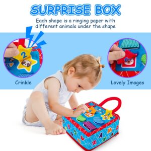 teytoy Shape Sorter Toys with 2-Sided Activity Bag and 8 Textured Shape Blocks Develop Sensory Fine Motor Skills Game Child Development Preschool Baby Toy for 6-12 Months and Older