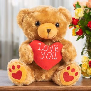 Zillywood 9" Talking Teddy Bear Repeats What You say. Repeating Talking Teddy Bear Gift for her. I Love You Gifts for Valentine's Day, Mother's Day with Removable Plush Heart (Repeating Teddy Bear)