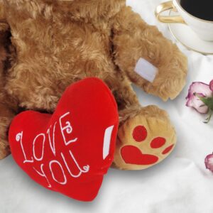 Zillywood 9" Talking Teddy Bear Repeats What You say. Repeating Talking Teddy Bear Gift for her. I Love You Gifts for Valentine's Day, Mother's Day with Removable Plush Heart (Repeating Teddy Bear)