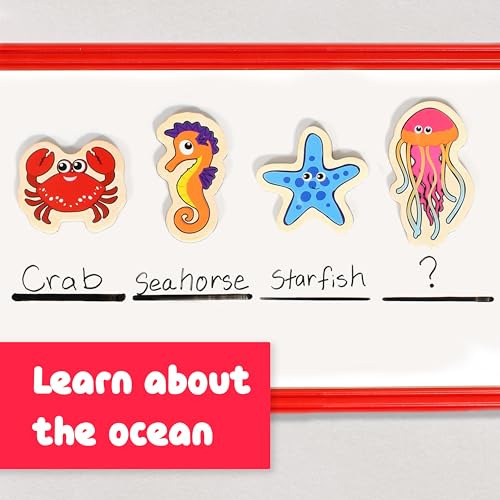 SPARK & WOW Wooden Magnets - Sea Life - Set of 20 - Magnets for Kids Ages 2+ - Cute Animal Magnets for Fridges, Whiteboards and More