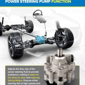 PHILTOP 21-5445 Power Steering Pump for 300 C 2005-2010, Challenger R/T 2009-2010 5.7L, Charger R/T 2006-2010, Magnum R/T 2005-2008, Power Asist Pump, Automotive Replacement Power Steering Pumps