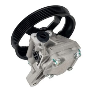 21-5195 Power Steering Pump for RL 2005-2008, Power Asist Pump 56100RJA005, 56100RJA015